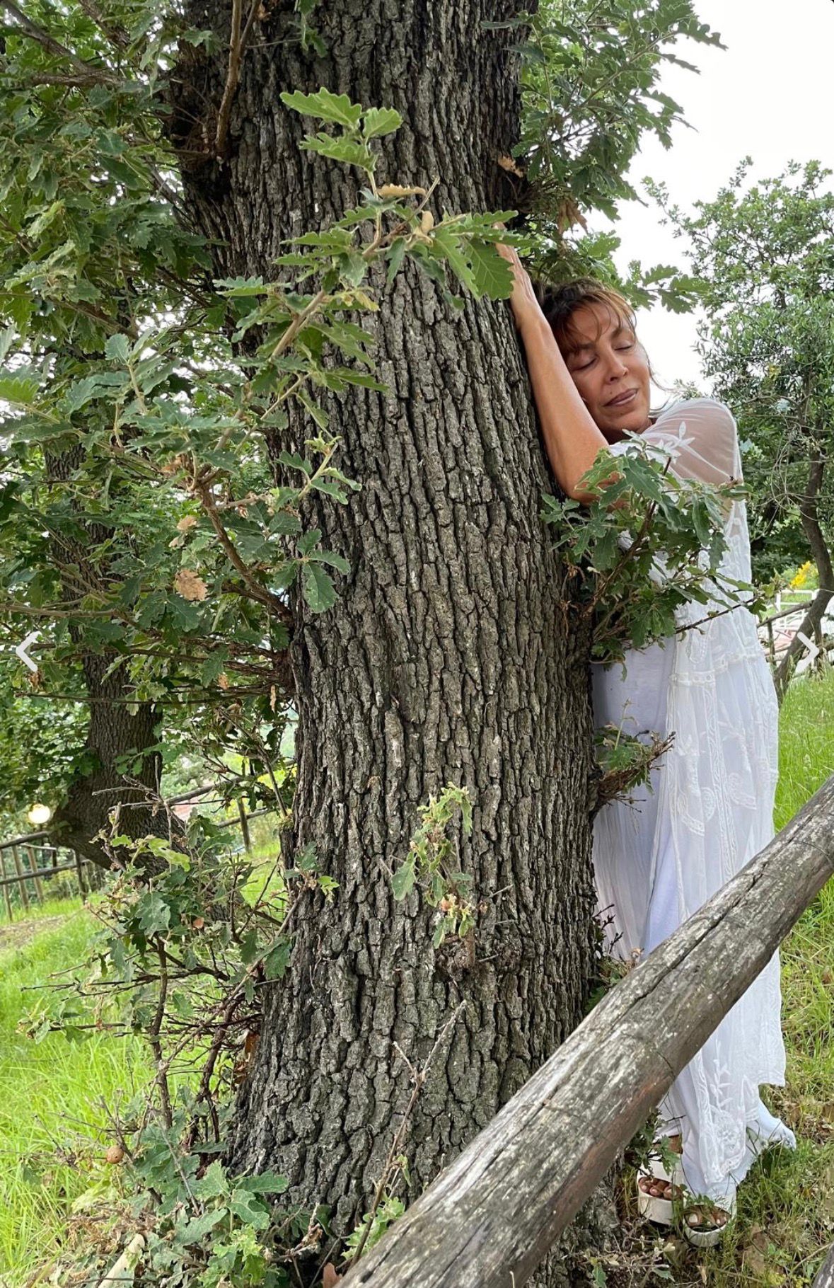 Donna in vestito bianco abbraccia il tronco di una grande quercia in un campo